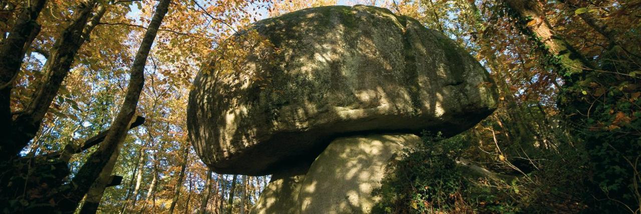 Chambre D'Hotes De La Roche Tremblante Huelgoat Buitenkant foto